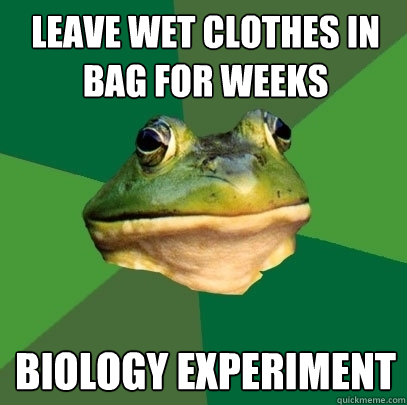 leave wet clothes in bag for weeks biology experiment  Foul Bachelor Frog