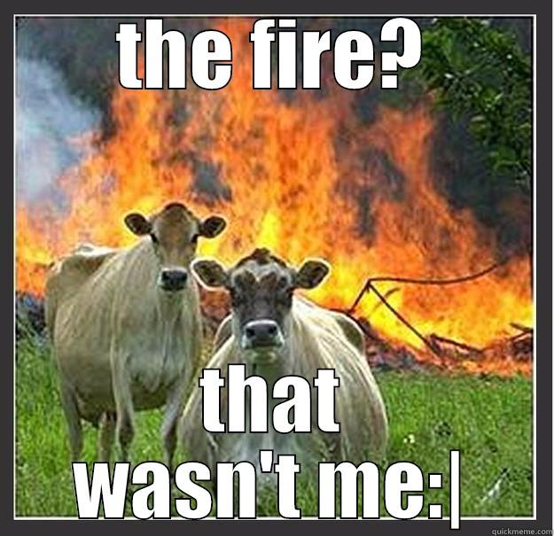 THE FIRE? THAT WASN'T ME:| Evil cows