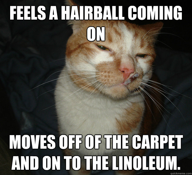 Feels a hairball coming on Moves off of the carpet and on to the linoleum.   Cool Cat Craig