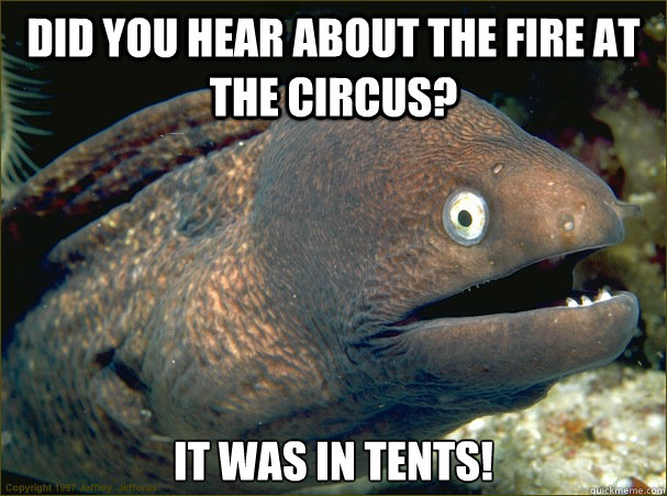 Did you hear about the fire at the circus? It was in tents!  Bad Joke Eel