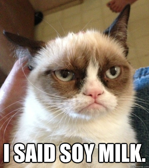  i said soy milk.  Not Amused Grumpy Cat