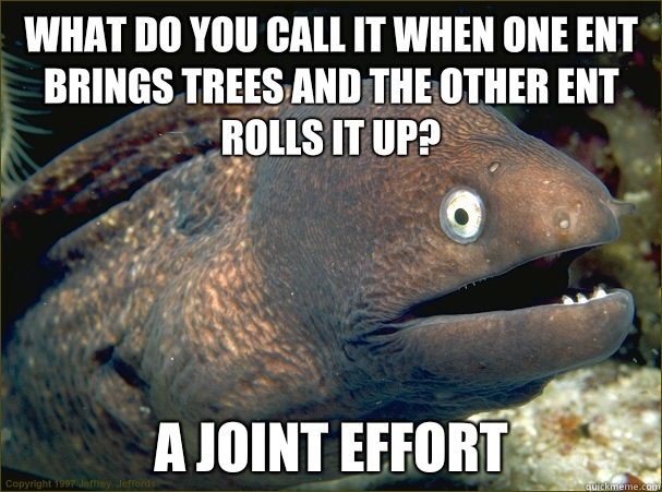 What do you call it when one ent brings trees and the other ent rolls it up? A joint effort  Bad Joke Eel