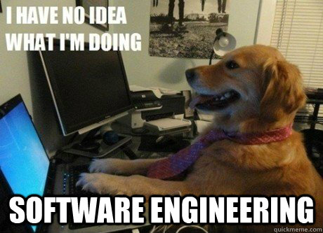  Software Engineering  I have no idea what Im doing dog