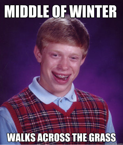 Middle of winter walks across the grass  Bad Luck Brain