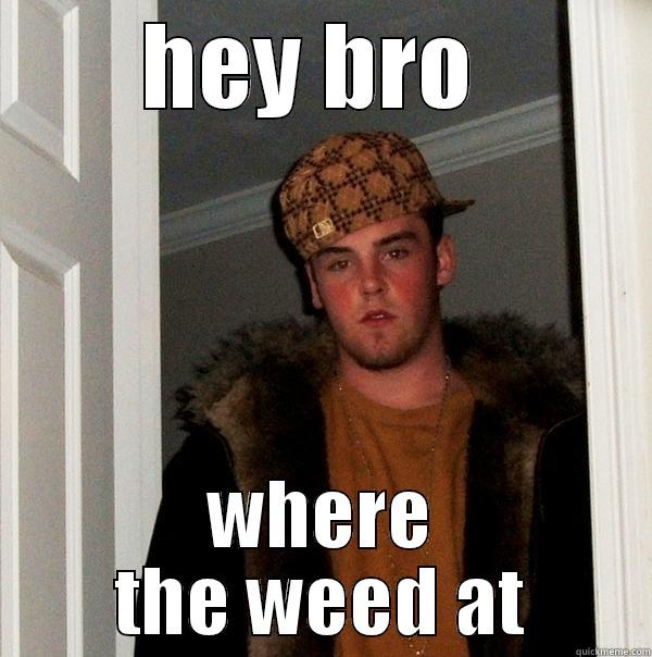 HEY BRO  WHERE THE WEED AT Scumbag Steve