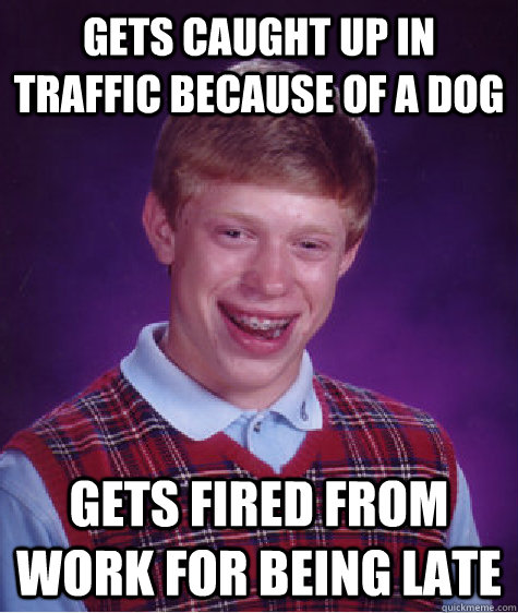 Gets caught up in traffic because of a dog gets fired from work for being late  Bad Luck Brian