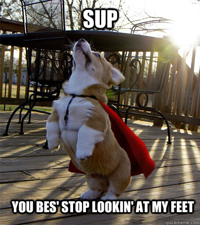 Sup you bes' stop lookin' at my feet - Sup you bes' stop lookin' at my feet  Corgi Thug