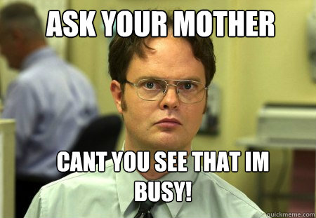 ask your mother cant you see that im busy!  Schrute