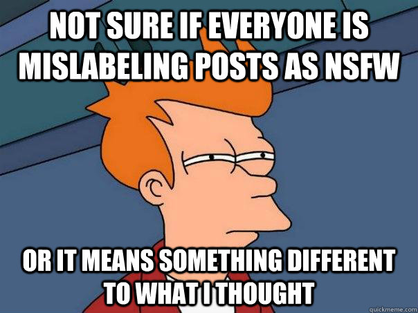 not sure if everyone is mislabeling posts as nsfw or it means something different to what i thought  Futurama Fry