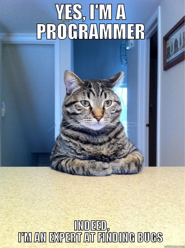 Cat Programmer - YES, I'M A PROGRAMMER INDEED, I'M AN EXPERT AT FINDING BUGS  Chris Hansen Cat