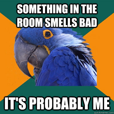 Something in the room smells bad it's probably me  Paranoid Parrot