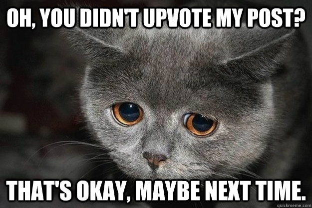 Oh, you didn't upvote my post? That's okay, maybe next time. - Oh, you didn't upvote my post? That's okay, maybe next time.  Sad Reddit Cat