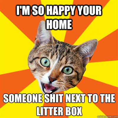 I'm so happy your home someone shit next to the litter box  Bad Advice Cat