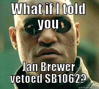 WHAT IF I TOLD YOU JAN BREWER VETOED SB1062? Matrix Morpheus