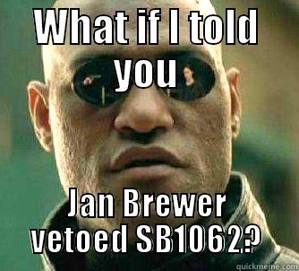 Jan Brewer Meme - WHAT IF I TOLD YOU JAN BREWER VETOED SB1062? Matrix Morpheus