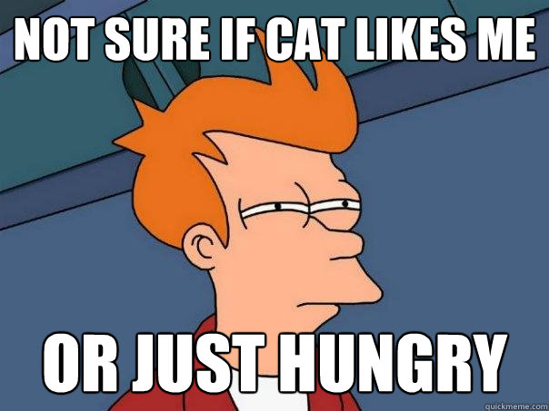 Not sure if cat likes me or just hungry - Not sure if cat likes me or just hungry  Futurama Fry