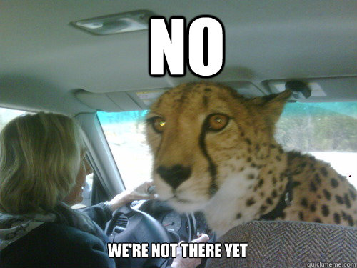NO We're not there yet - NO We're not there yet  Chill Cheetah