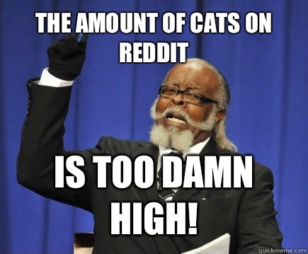The amount of cats on reddit Is too damn high!  Too Damn High
