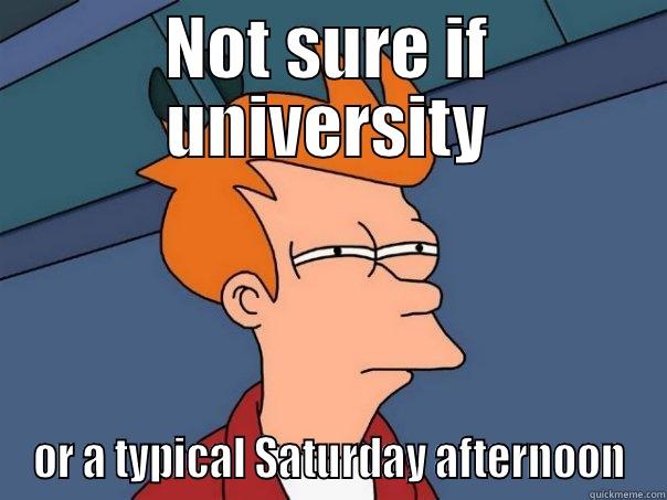 NOT SURE IF UNIVERSITY OR A TYPICAL SATURDAY AFTERNOON Futurama Fry