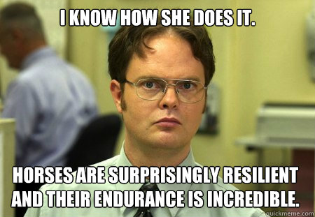 I know how she does it. Horses are surprisingly resilient and their endurance is incredible.  Dwight