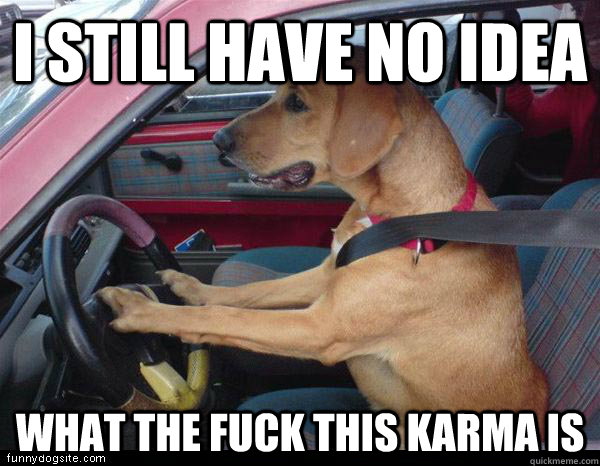 I still have no idea  What the fuck this karma is  Clueless American Driver