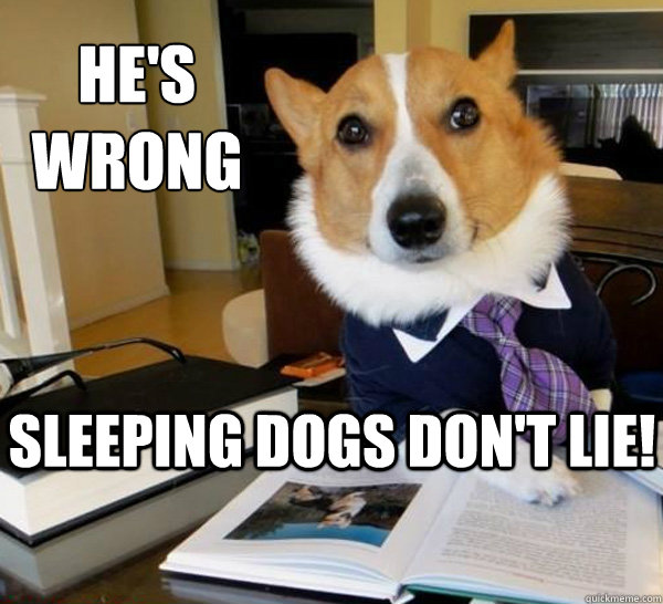 he's wrong sleeping dogs don't lie!  Lawyer Dog