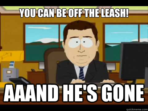 You can be off the leash! Aaand he's gone  And its gone