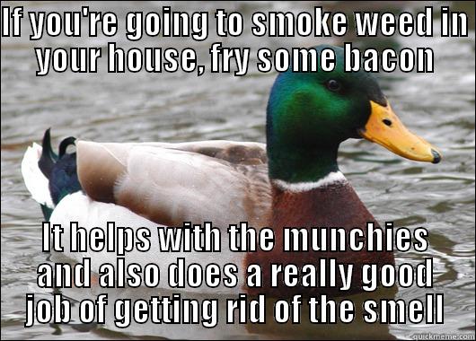 IF YOU'RE GOING TO SMOKE WEED IN YOUR HOUSE, FRY SOME BACON IT HELPS WITH THE MUNCHIES AND ALSO DOES A REALLY GOOD JOB OF GETTING RID OF THE SMELL Actual Advice Mallard
