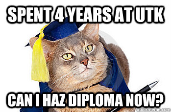 Spent 4 years at UTK Can i haz diploma now?  graduation cat