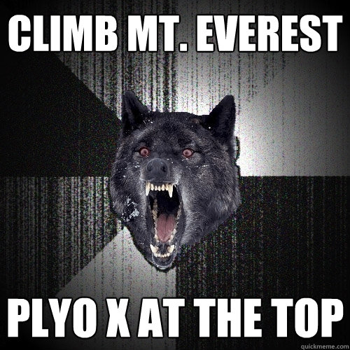 climb mt. everest plyo x at the top  Insanity Wolf