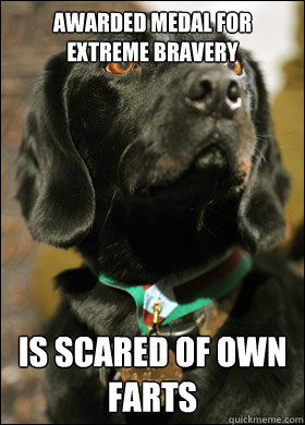 Awarded medal for extreme bravery is scared of own farts - Awarded medal for extreme bravery is scared of own farts  Brave Dog