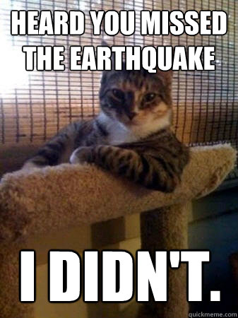 Heard you missed the earthquake I didn't.  The Most Interesting Cat in the World