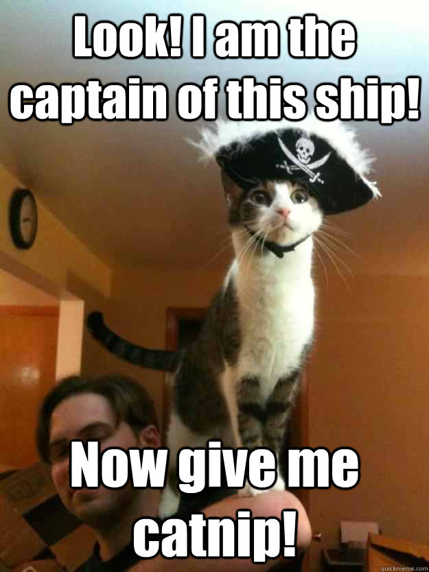 Look! I am the captain of this ship! Now give me catnip!  