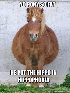 Yo Pony So fat He put the Hippo in hippophobia  