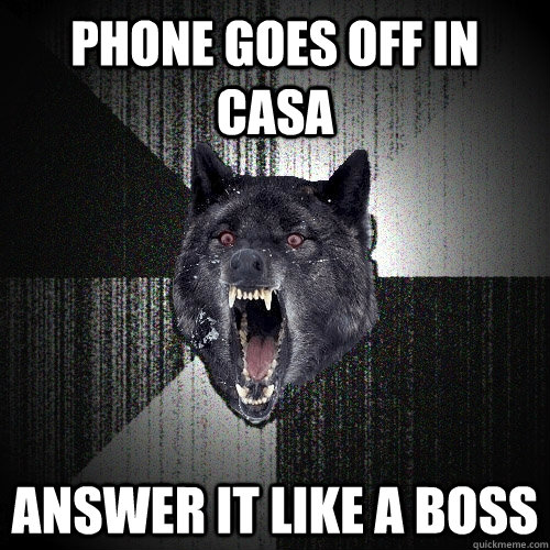 Phone goes off in casa answer it like a boss  Insanity Wolf