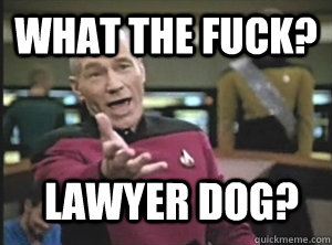 what the fuck? Lawyer Dog?  Annoyed Picard
