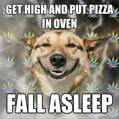 Get high and Put pizza in oven fall asleep  Stoner Dog