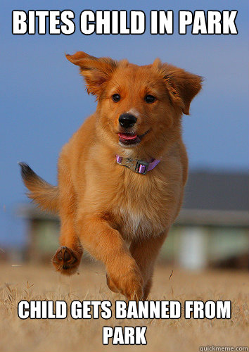 bites child in park child gets banned from park  Ridiculously Photogenic Puppy