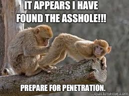  Prepare for penetration. It appears i have found the asshole!!!  What what monkey butt