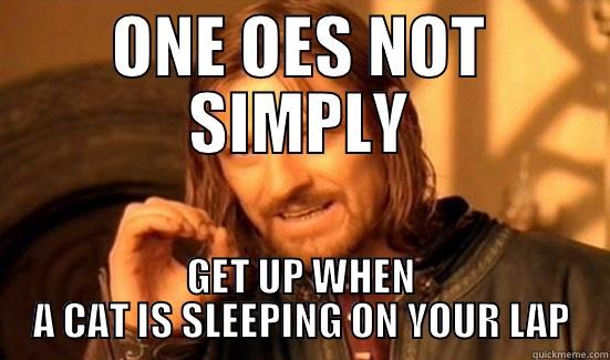 ONE OES NOT SIMPLY GET UP WHEN A CAT IS SLEEPING ON YOUR LAP Boromir