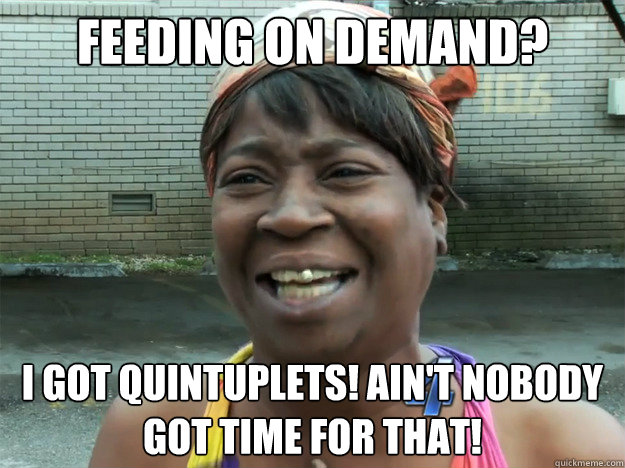 Feeding on demand? I got quintuplets! Ain't nobody got time for that!  