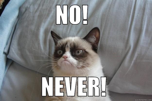NO!  NEVER! Grumpy Cat