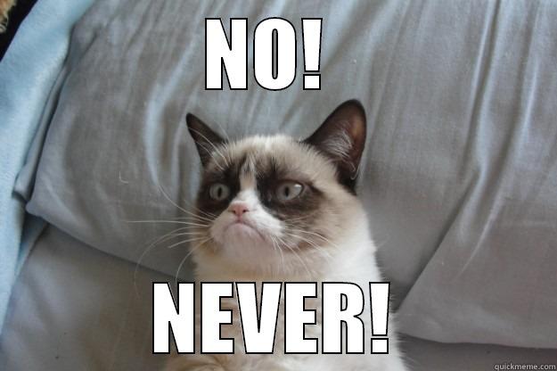 NOOOO!  - NO!  NEVER! Grumpy Cat