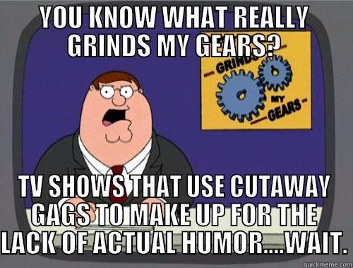 YOU KNOW WHAT REALLY GRINDS MY GEARS? TV SHOWS THAT USE CUTAWAY GAGS TO MAKE UP FOR THE LACK OF ACTUAL HUMOR....WAIT. Grinds my gears