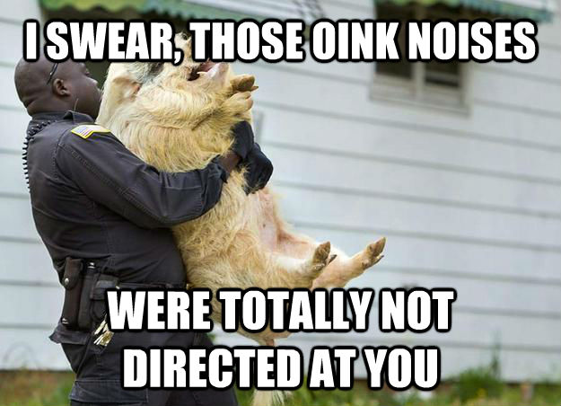 I SWEAR, THOSE OINK NOISES WERE TOTALLY NOT DIRECTED AT YOU  untitled meme