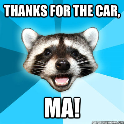 Thanks for the Car, MA!   Lame Pun Raccoon