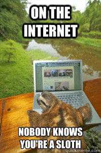 On the internet Nobody knows you're a sloth - On the internet Nobody knows you're a sloth  Internet sloth