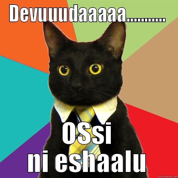 Deba .........Mast hay.... - DEVUUUDAAAAA........... OSSI NI ESHAALU Business Cat