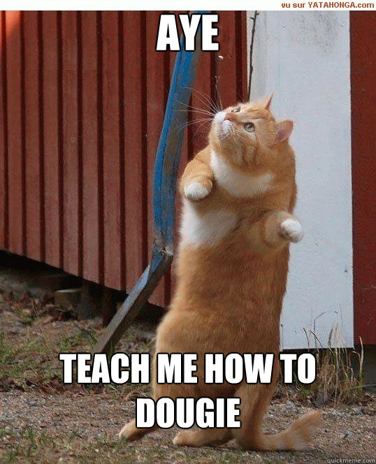 Aye Teach me how to dougie - Aye Teach me how to dougie  Dougie Cat