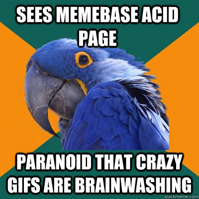 Sees Memebase Acid page paranoid that crazy gifs are brainwashing    Paranoid Parrot